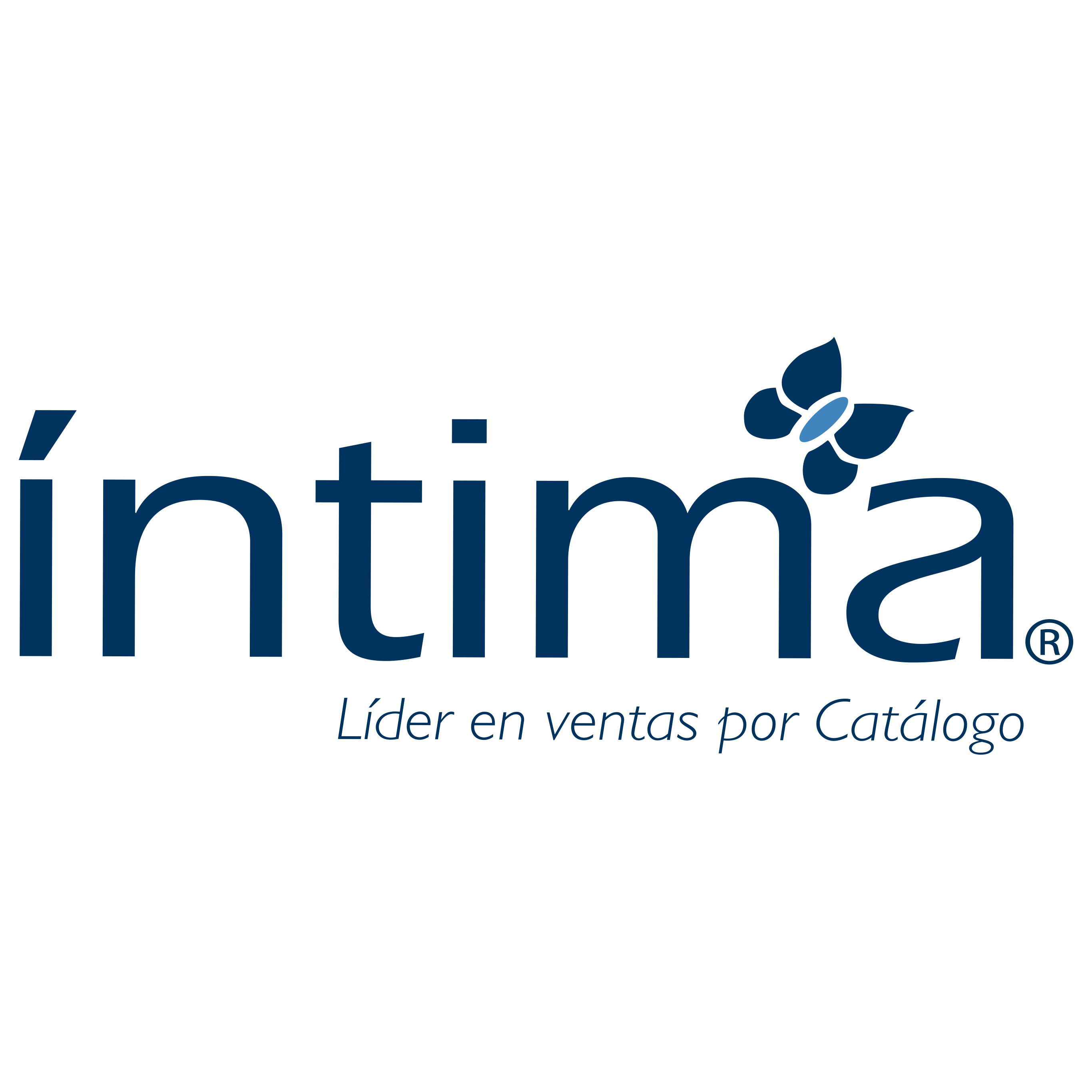 Intvisma Logo Intima Hogar Logo